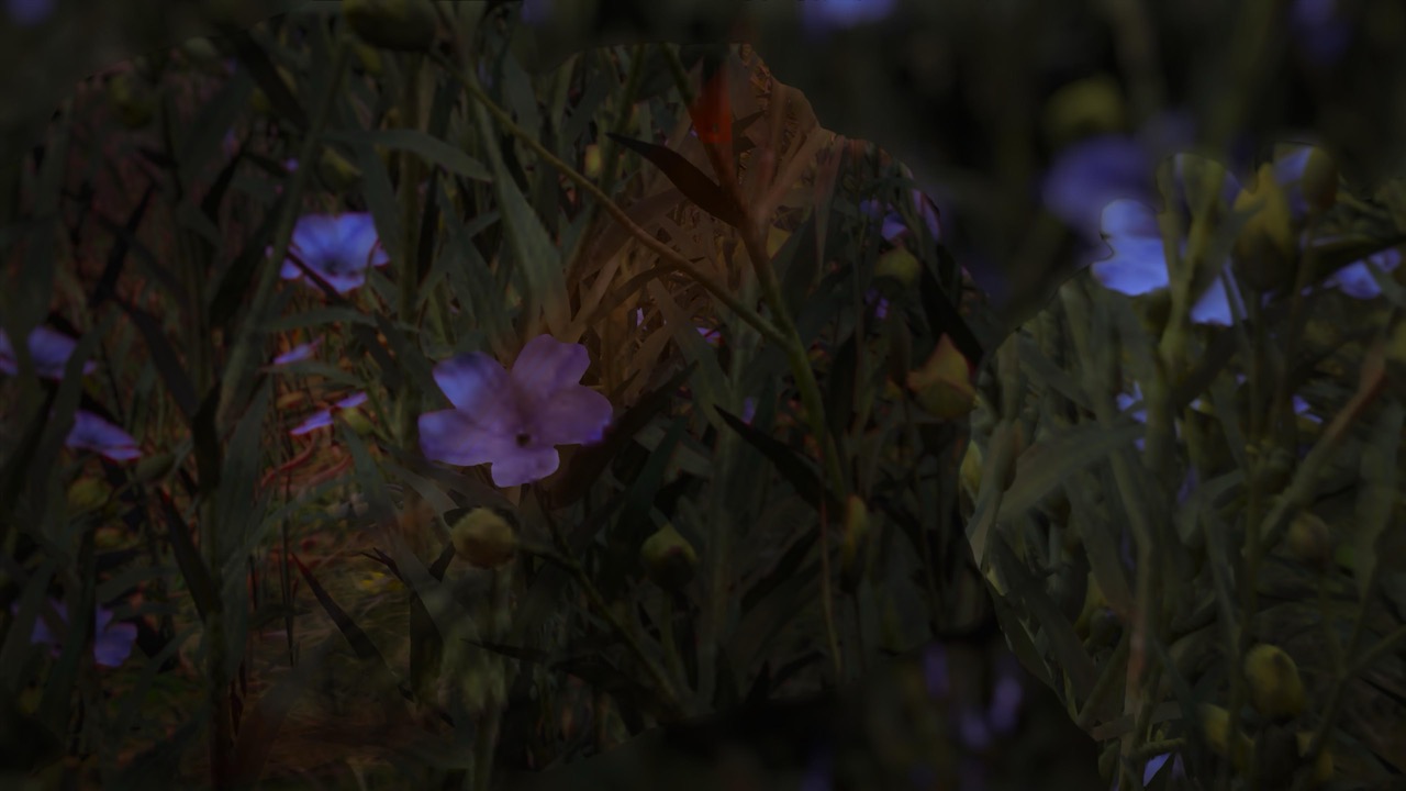 Studies on Breaking Immersion